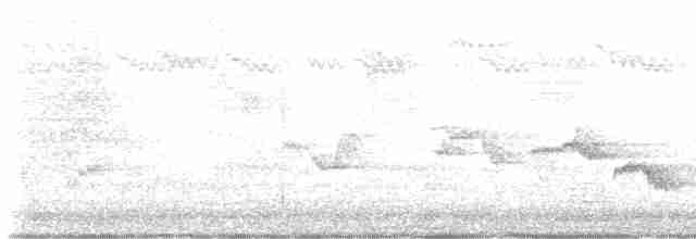 Кропив’янка чорноголова - ML618777991
