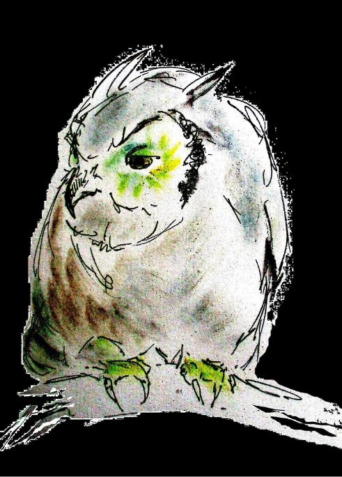 Great Horned Owl - ML618778213