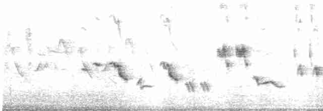 Oriole des vergers - ML618778576