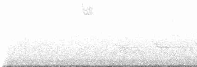 Белогорлая зонотрихия - ML618779231