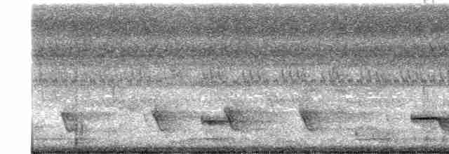 Great Eared-Nightjar - ML618780037