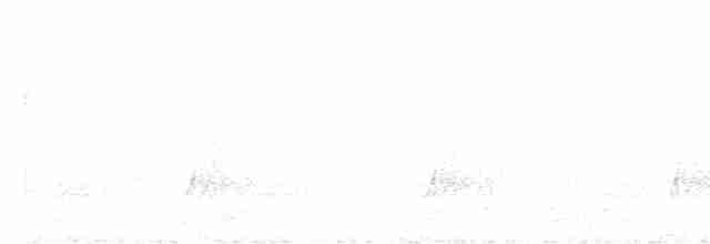 斑胸秧雞 - ML618780767