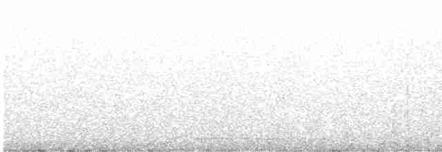 Urubi arrunta - ML618781206