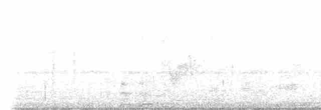 Savannennachtschwalbe - ML618782118