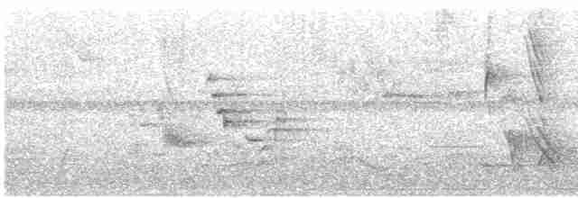 Turuncu Gagalı Bülbül Ardıcı - ML618782203