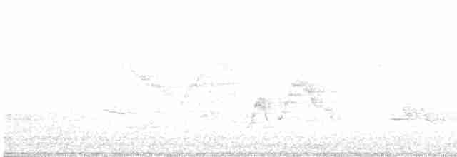 Дрізд-короткодзьоб малий - ML618782794