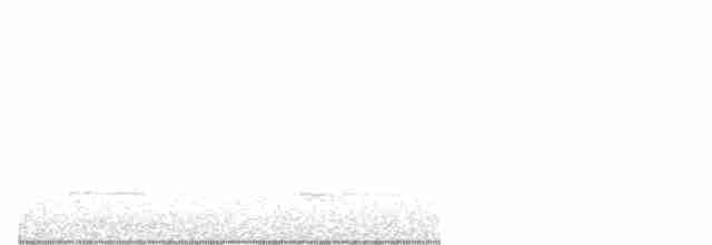 Каролинский поползень (carolinensis) - ML618783098
