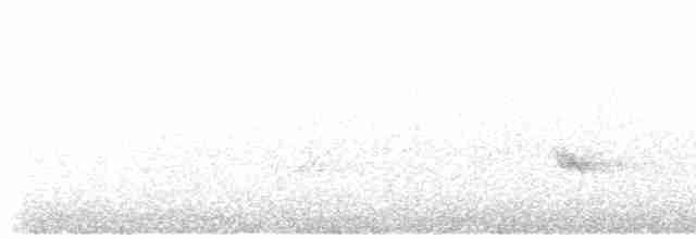 Чернокрылая пиранга - ML618784253