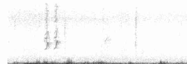 Rotspottdrossel - ML618785170