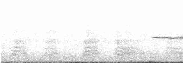 Белобровая овсянка (pugetensis) - ML618785940