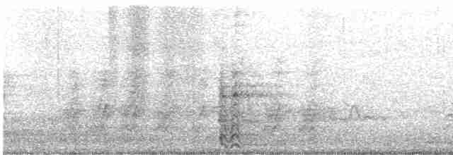 Ring-necked Pheasant - ML618789313