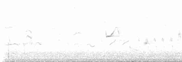 lesňáček modrohřbetý - ML618792008