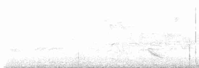 Бурый соловьиный дрозд - ML618792202