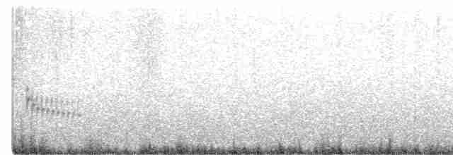 Bruant fauve (groupe megarhyncha) - ML618792287