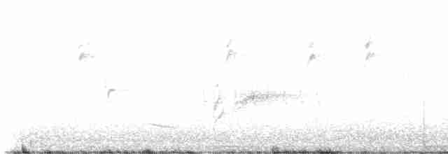 Yellow-rumped Warbler - ML618792751