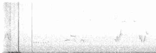 Black-headed Grosbeak - ML618792861