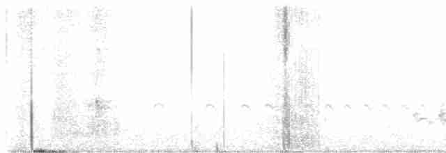 purpurfink (californicus) - ML618793021