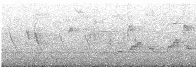 Дрізд-короткодзьоб Cвенсона - ML618794118
