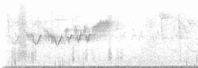 Cerulean Warbler - ML618794381