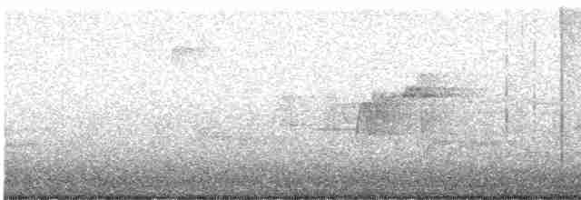 Acadian Flycatcher - ML618795769