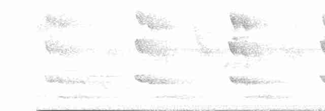Alción de Esmirna - ML618795801