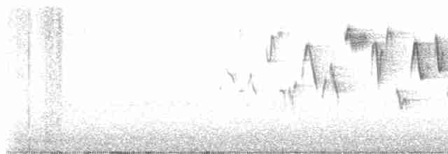 Тихоокеанский крапивник - ML618796873