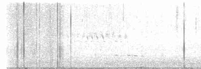Kara Boğazlı Kolibri - ML618797700