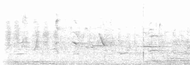 セスジツバメ（pallida） - ML618797873