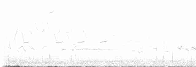 Rotspottdrossel - ML618800386
