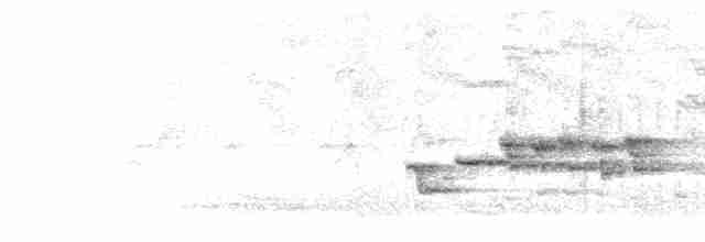 Ruiseñor Japonés (akahige/rishirensis) - ML618800908