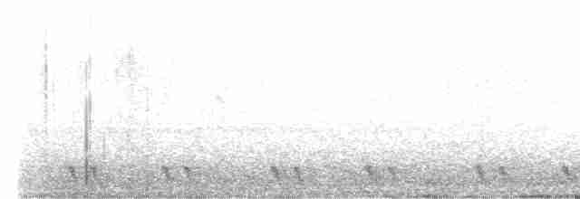 Red-necked Nightjar - ML618802364