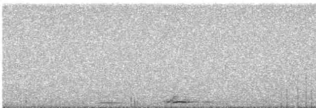 Сова плямиста - ML618803425