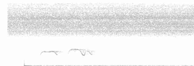 Зозуля білогорла - ML618803506