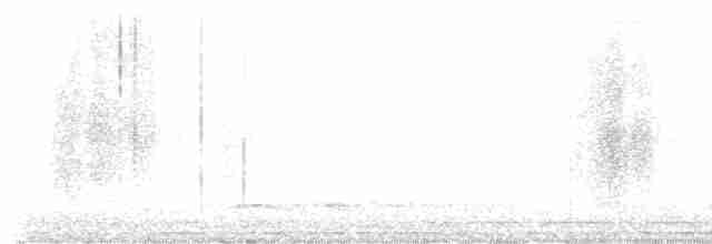 Winternachtschwalbe - ML618803852