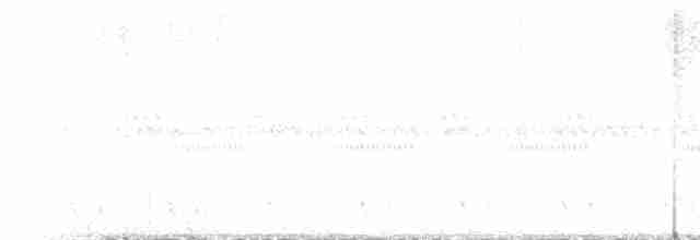 Red-necked Nightjar - ML618804545