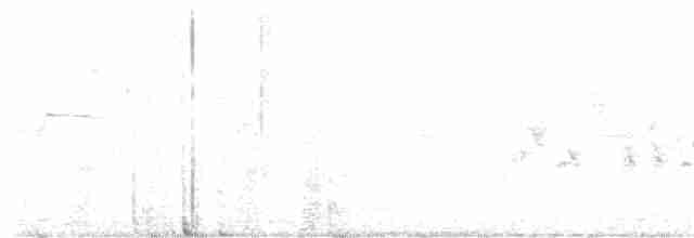 Кропив'янка сіра - ML618805224