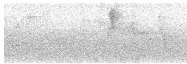 Turuncu Karınlı Öksekuşu - ML618806555