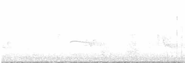 Canada Warbler - ML618809426