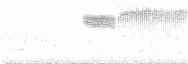 Голубокрылая червеедка - ML618810155