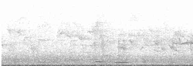 Common Cuckoo - ML618810164