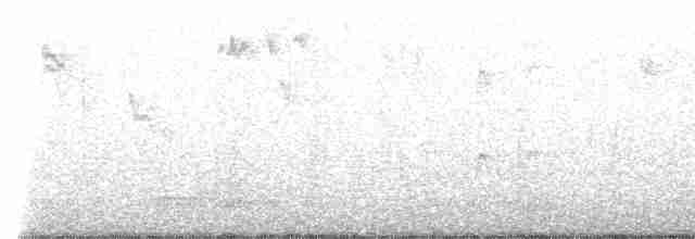 brunfluesnapper - ML618811140