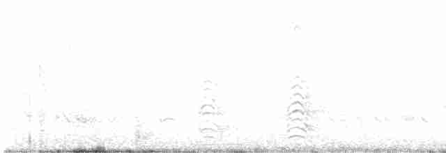 zoboun americký (ssp. niger) - ML618811199