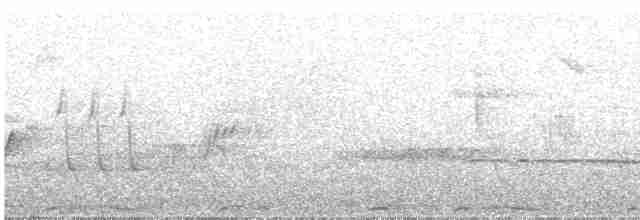 Common Chaffinch - ML618812061