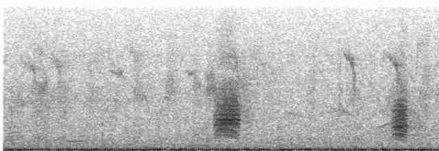 Clamorous Reed Warbler - ML618812105