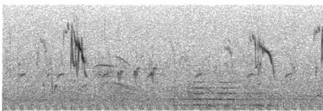 Lavandera Cetrina - ML618812141