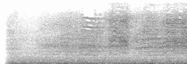 Малый желтохохлый какаду - ML618812444