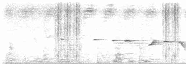 Gray-bellied Tesia - ML618812656