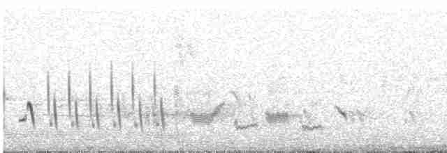 Western Orphean Warbler - ML618812734