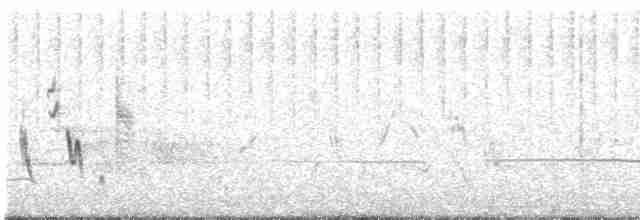 Western Orphean Warbler - ML618812877