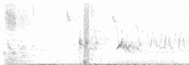 drozdec černohlavý - ML618813014